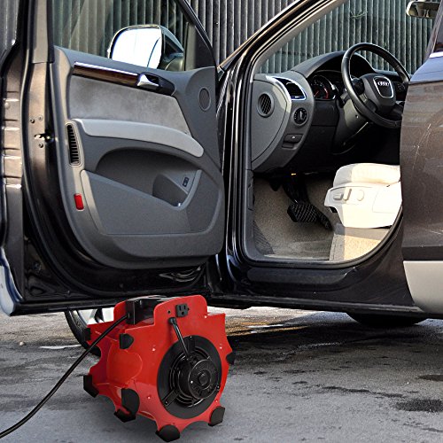 Blower Fan - 3-Speed Heavy-Duty Floor and Carpet Dryer - 1600 watts -Portable Air Mover with 4 Different Angles for Basements, Cars or Garages by Stalwart