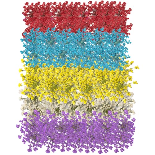 60 Pcs Dried Pressed Flowers for Resin DIY Art Crafts Natural Dry Floral Epoxy Jewelry Real Lace Flower Decor Cakes Phone Cases Candles Handmade Soap TopFunny