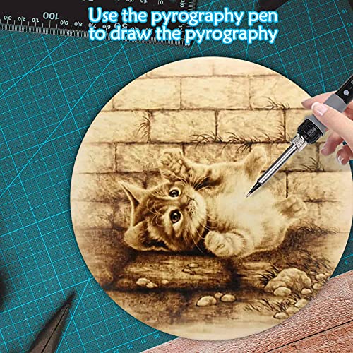 6 Pack 14 Inch Wood Rounds,14 Inch Round Wood Circles for Crafts, Unfinished Wood Circles Wood Sign Blank, Wooden Discs for DIY Crafts, Door Hangers Acejoz