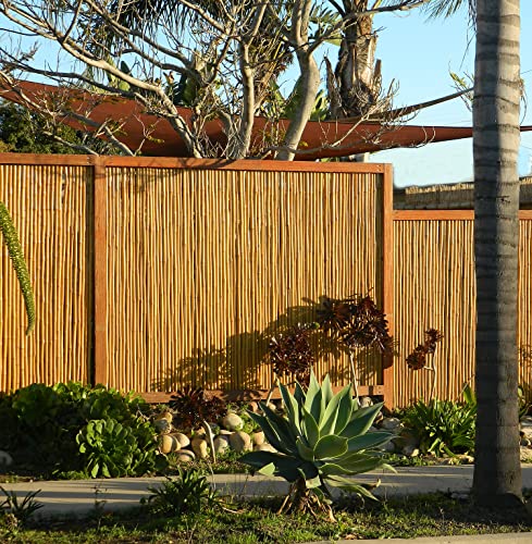 Backyard X-Scapes Natural Bamboo Fencing Decorative Rolled Fence Panel 1 in D x 4 ft H x 8 ft L Backyard X-Scapes