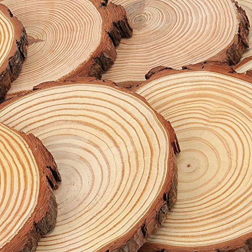 HOZEON 8 PCS 8-9 Inches Natural Wood Slices, Smooth Rustic Unfinished Wood Slices, Wood Slices for Crafts, Arts, Wedding Decoration, Christmas, HOZEON