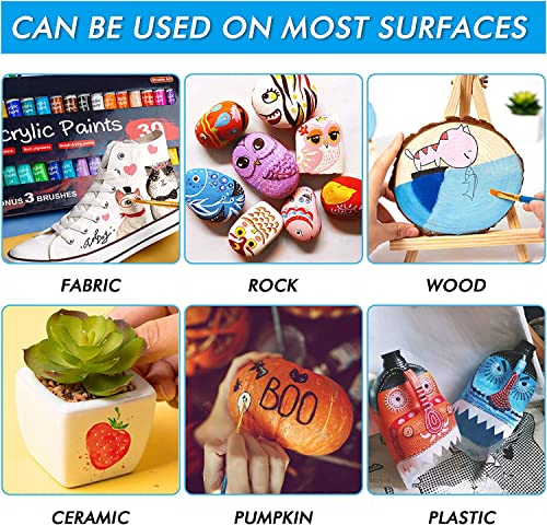 Shuttle Art Acrylic Paint Set, 30 x12ml Tubes Artist Quality Non Toxic Rich Pigments Colors Great for Kids Adults Professional Painting on Canvas Shuttle Art