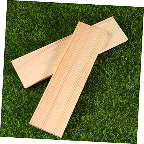 NOLITOY 10pcs Plank Board Wood Boards for Crafts Unfinished Wood Plaques Craft Wood Rectangular Blocks Carving Basswood Photo Backdrop Board NOLITOY