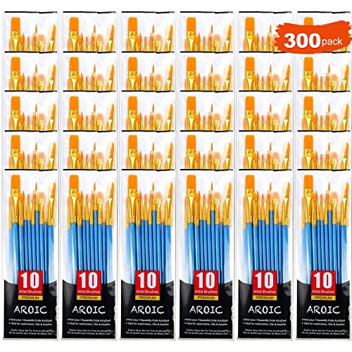 AROIC Painting Brush Set, 30 Packs/300 Pieces, Nylon Brush Head, Suitable for Oil and Watercolor, Perfect Suit of Art Painting, Best Gift for AROIC