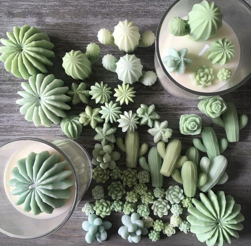 Mafuke 9 Pack Succulent Silicone Mold,Flower Resin Mold,Silicone Candle Molds.3D Cacti Candle Mold Silicone for Scented Candles Soaps Making, Wax, Navani