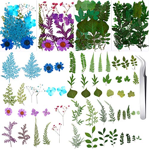 Nuanchu 109 Pieces Dried Pressed Flowers for Resin, Natural Pressed Dry Flowers Leaves Mixed Multiple Dried Flowers with Tweezer for DIY Art Nuanchu