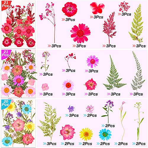 297 Pcs Dried Pressed Flowers Butterfly Stickers for Resin, Real Natural Dry Flowers Leaves Bulk with Tweezers for Art Craft Supplies Scrapbooking Cruzix