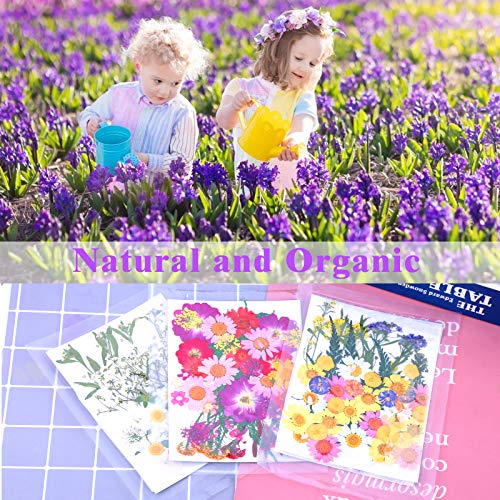 120 PCS Dried Flowers for Resin Molds, Natural Pressed Flowers Leaves Herbs kit with Tweezers for DIY Art Crafts, Candle,Jewelry Making, Scrapbook Cruzix