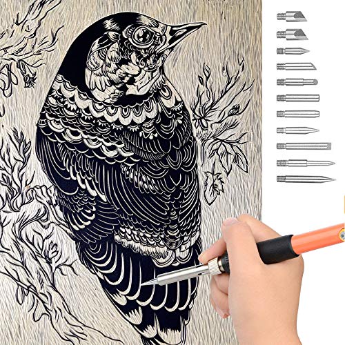 ACRSIKR Wood Burning Kit, WoodBurning Tool Adjustable Temperature 200~450 ℃ Pyrography Kit for Adults Kids Beginners (Bue) ACRSIKR