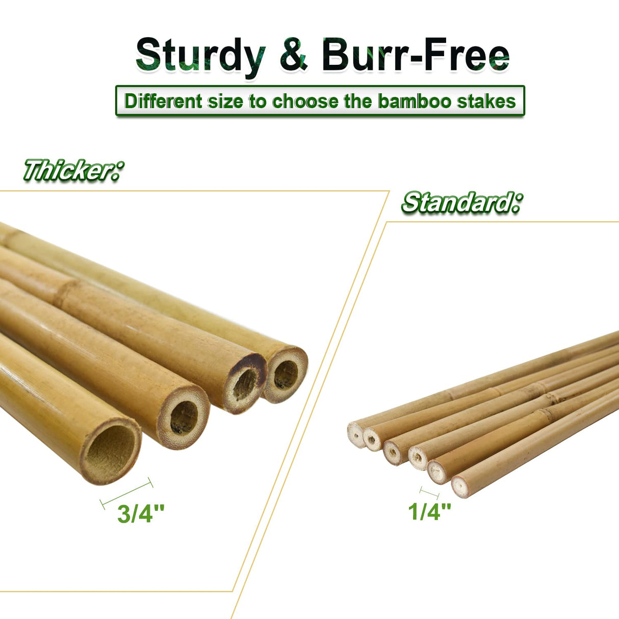 Jollybower 15pcs 3/4" D Thicker Heavy Duty Bamboo Stakes, 7FT Plant Stakes, Natural Garden Stakes for Tomato, Bean, Flowers,Trees Potted and Climbing Jollybower