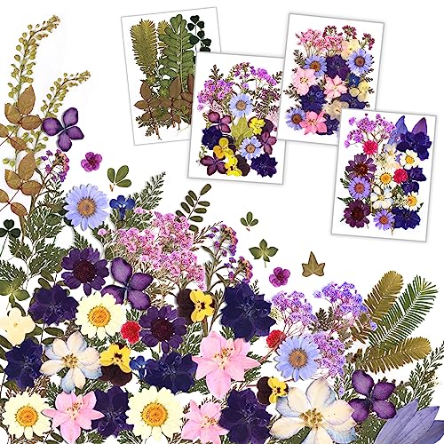Resiners 100Pcs Dried Pressed Flowers for Resin Molds, Purple Real Pressed Flowers Dry Leaves Kit for Art Crafts Resin Jewelry Making Scrapbook Resiners