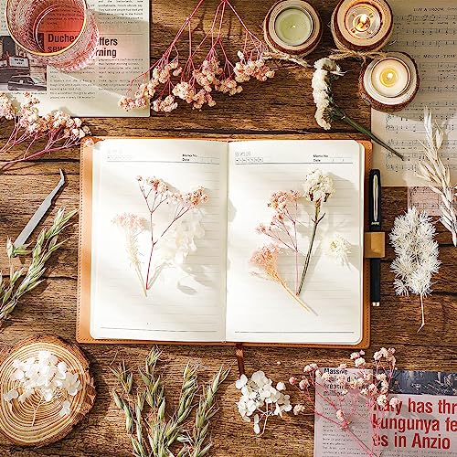 Real Dried Flowers, Natural Dry Flowers Mixed Natural Pressed Flowers Flores Secas Dried Florals for Crafts,Resin,Candle Making (Pink and White) auroray