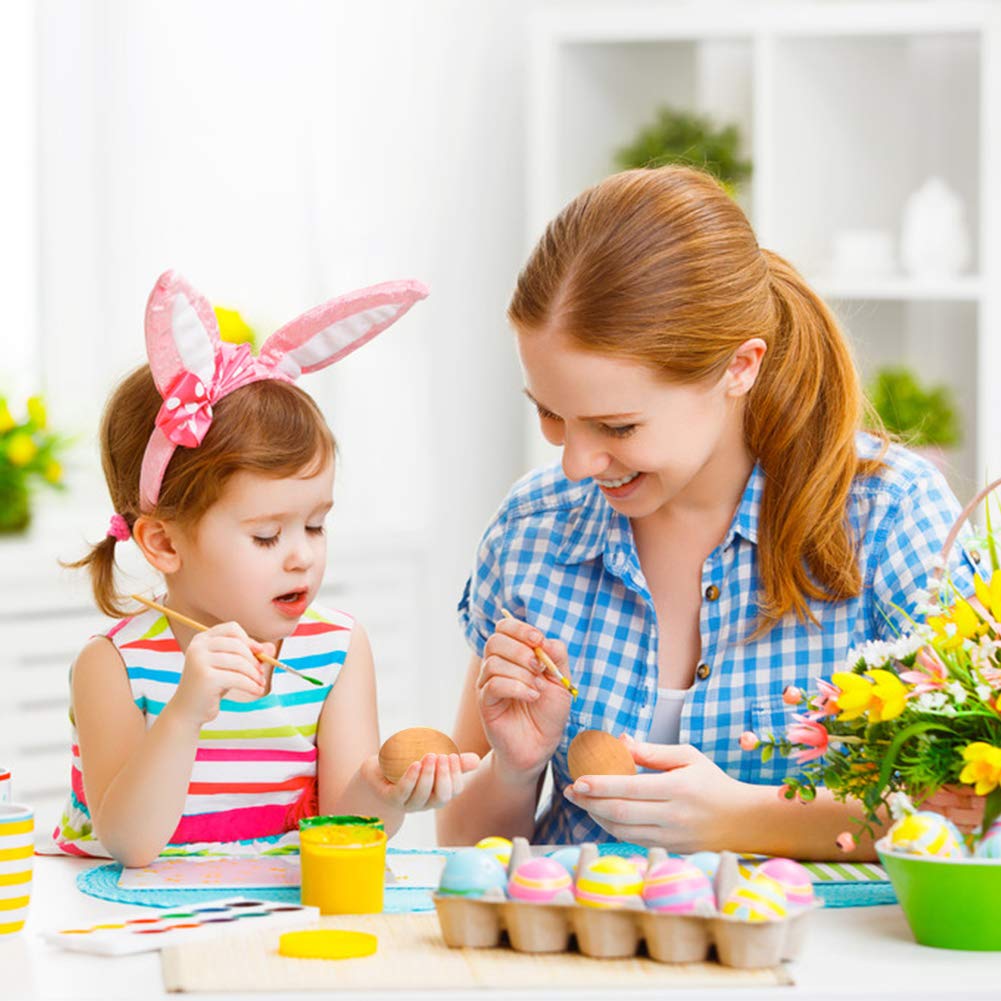 DomeStar Wooden Fake Chicken Eggs, 8PCS 2.5" Unpainted Faux Wood Eggs for Encouraging Hens to Lay Eggs DomeStar