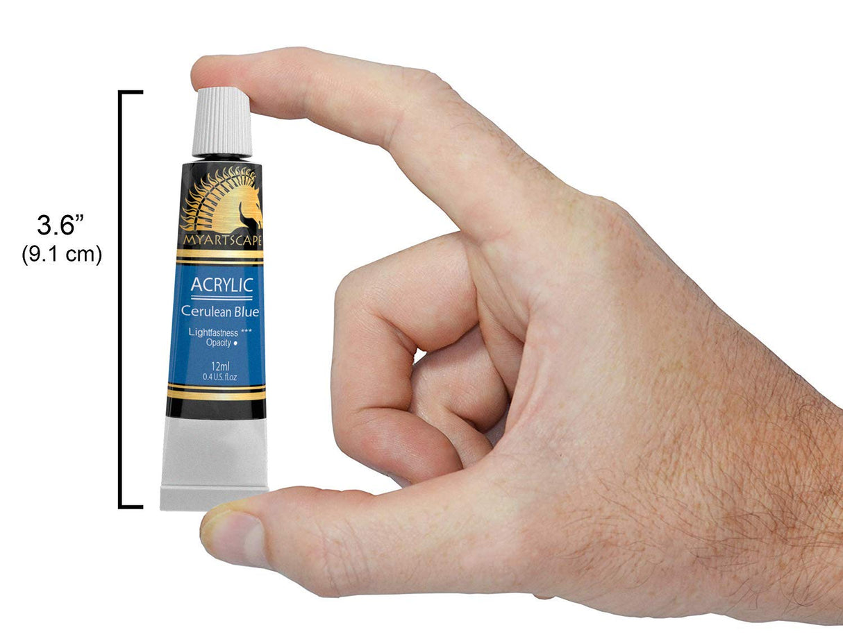 MyArtscape Artist Quality Painting Set - Acrylic Paint - 12 x 12ml Tubes - paired with Short Handle Artist Paintbrushes with Travel Holder MyArtscape