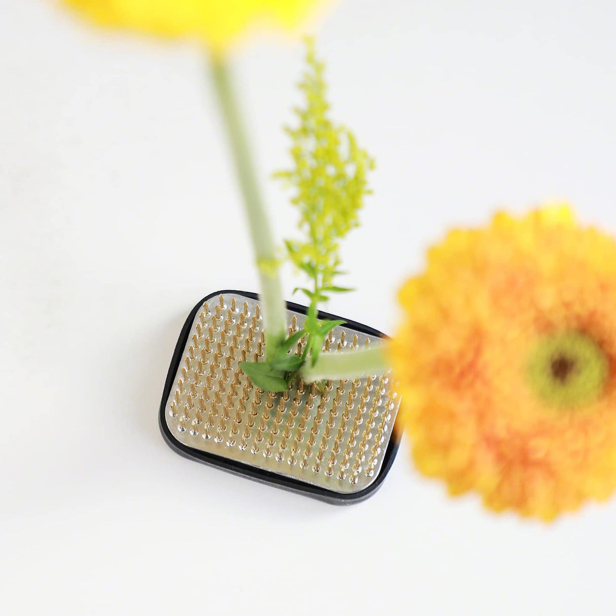 Wazakura Japanese Ikebana Kenzan Flower Holder Rectangular Square, Made in Japan Floral Arranging Pin Frog Tool - 2.6" (68mm) Wazakura