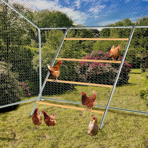 BESBLEE Chicken Coop Roosting Perch Essentials:Perfect for Backyard Poultry, Easy Installation &,Farm Roost Toys for Chickens (55' L x 40' W) BESBLEE