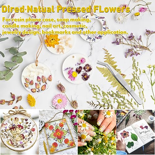 Fabbay 712 Pcs Dried Pressed for Resin with Tweezer Flowers Leaves Butterfly Stickers Dry Flowers Leaves Bulk Natural Dried Flower Scrapbook Fabbay