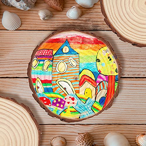 14 PCS 6.3-6.7 Inch Natural Wood Slices, 3/5 Inch Thick Unfinished Wood Slices for Crafts, Wedding, Decoration, Painting MUKCHAP