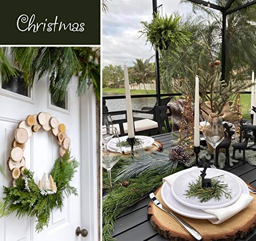 Lemonfilter Natural Wood Slices 8 Pcs 6.3-6.7 Inches Craft Wood Kit Wooden Circles Unfinished Log Wooden Rounds for Arts Crafts Wedding Christmas DIY Lemonfilter