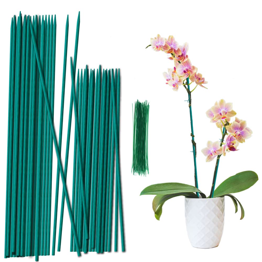 SupKing Plant Stakes,17&12 Inch Wood Plant Sticks 30 Pack Orchid Stake Sturdy Green Bamboo Plant Support Stake Gardening Floral Potted Plant Support SupKing