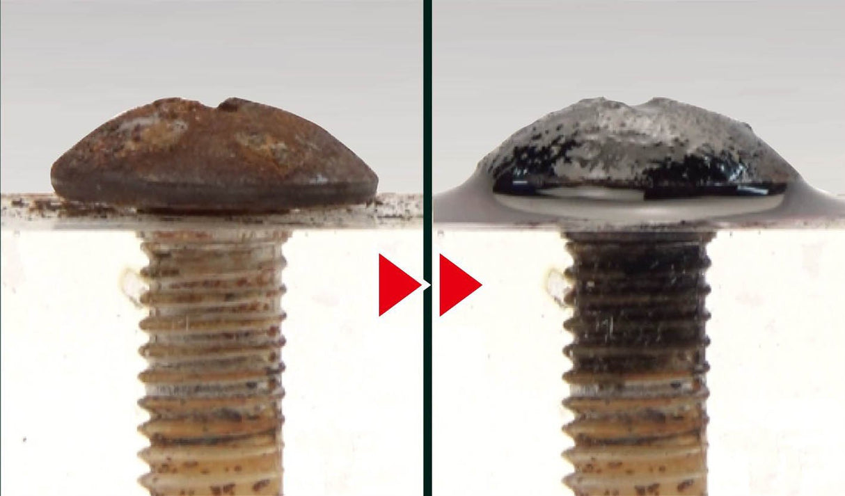 Engineer ZC-28 Rust Remover, Neji-Saurus Screw Removal Liquid 100g (Made in Japan) ENGINEER