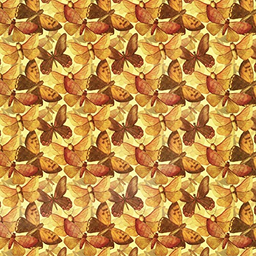 Origami Butterflies Kit: The LaFosse Butterfly Design System - Kit Includes 2 Origami Books, 12 Projects, 98 Origami Papers: Great for Both Kids and Tuttle Publishing