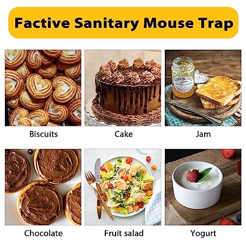 Mouse Trap Bucket,Bucket Lid Mouse Rat Trap, Reusable Humane Mouse Traps for Indoor Outdoor,Automatic Reset Bucket Lid Mouse Trap,5 Gallon Bucket ABEIER