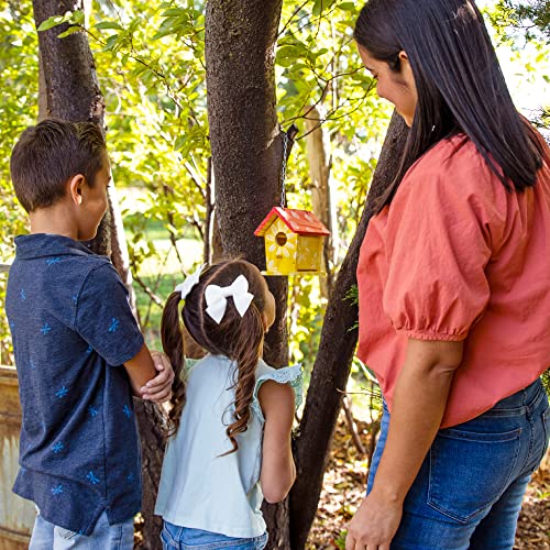 Hapinest Build and Paint a Wooden Birdhouse Kit for Kids - Woodworking Crafts for Children Ages 5 6 7 8 9 10 11 12 Years and Up Hapinest