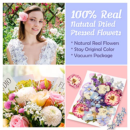 Blaflo 35+pcs Purple Flowers for Resin Model, Real Pressed Flowers Dry Leaves Bulk Natural Herbs Kit for Scrapbooking DIY Art Crafts, Epoxy Jewelry, Blaflo