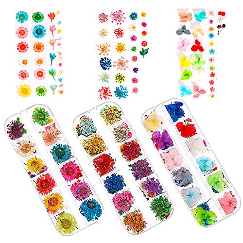 324PCS Dried Flowers Nail Art - Nail Art Accessories Kits, 81 Color Lovely Natural Nail Art, Dried Flowers for Resin Molds, Dry Flowers for Nails, YWLI