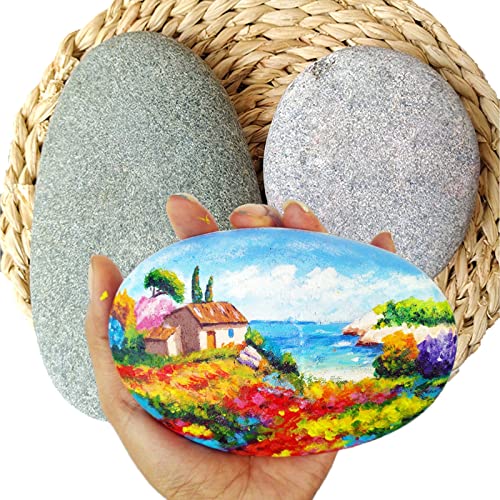 cssopenss 60 Pcs Large Rocks for Painting, 20 Pounds 2-3in River Rocks for  Painting, 60 Chunk Flat Rocks for Painting, Unique Stones for DIY Gifts Art