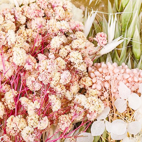 Real Dried Flowers, Natural Dry Flowers Mixed Natural Pressed Flowers Flores Secas Dried Florals for Crafts,Resin,Candle Making (Pink and White) auroray
