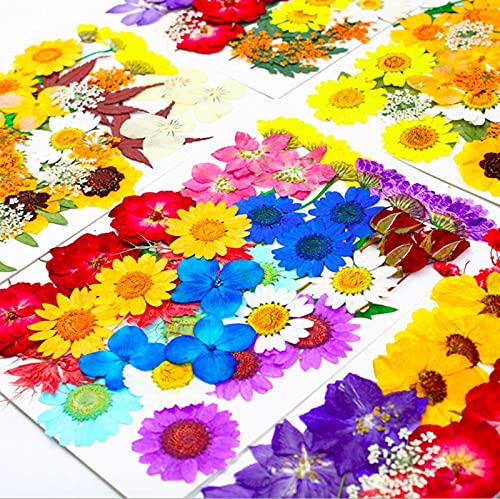 LUCISKY 152 Pcs Dried Pressed Flowers for Resin and Nails, Real Natural Flowers Leaves and Butterfly Stickers for Jewelry Soap and Candle Making LUCISKY