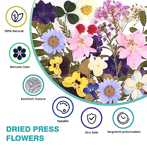 Resiners 100Pcs Dried Pressed Flowers for Resin Molds, Purple Real Pressed Flowers Dry Leaves Kit for Art Crafts Resin Jewelry Making Scrapbook Resiners