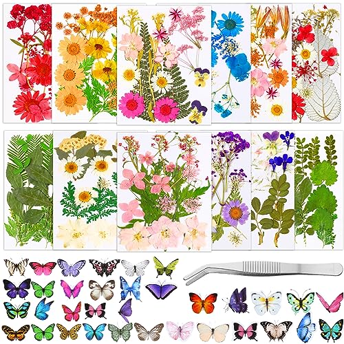 Fabbay 712 Pcs Dried Pressed for Resin with Tweezer Flowers Leaves Butterfly Stickers Dry Flowers Leaves Bulk Natural Dried Flower Scrapbook Fabbay