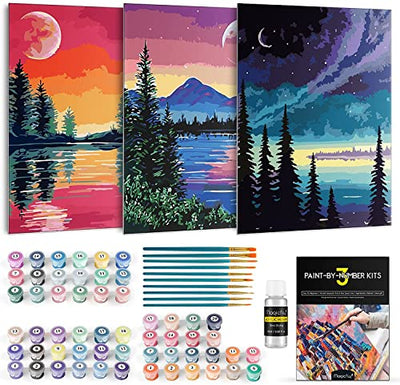 Magicfly 3 Pack Paint by Number for Adults Beginner, Moon Lake Landscape DIY Painting by Number Kit, Easy Acrylic Paint by Numbers on Canvas, 9x12