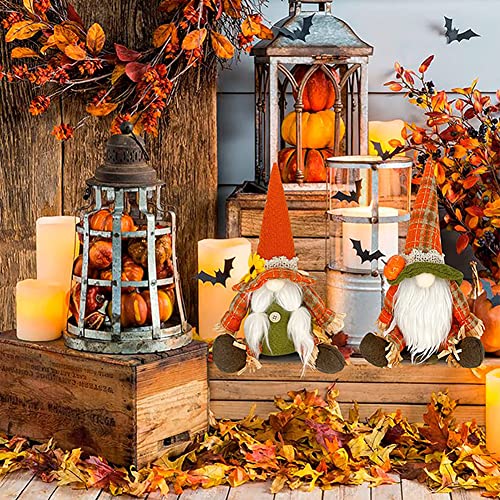 Gnome Beards for Crafting, 12 Pieces Pre-Cut Christmas Gnome Beards and Gnome Noses for Crafts Christmas Valentine's Day Independence Day Handmade EUBUY