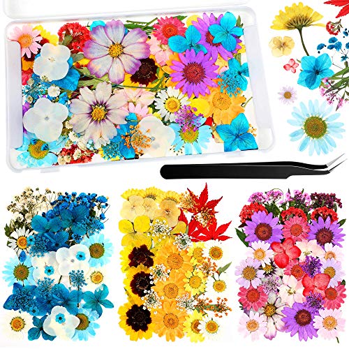 Nuanchu 110 Pieces Dried Pressed Flower for Resin Pressed Flowers Leaves with Tweezers and Box Set Natural Daisy Flowers Bulk Real Dry DIY Flowers Nuanchu