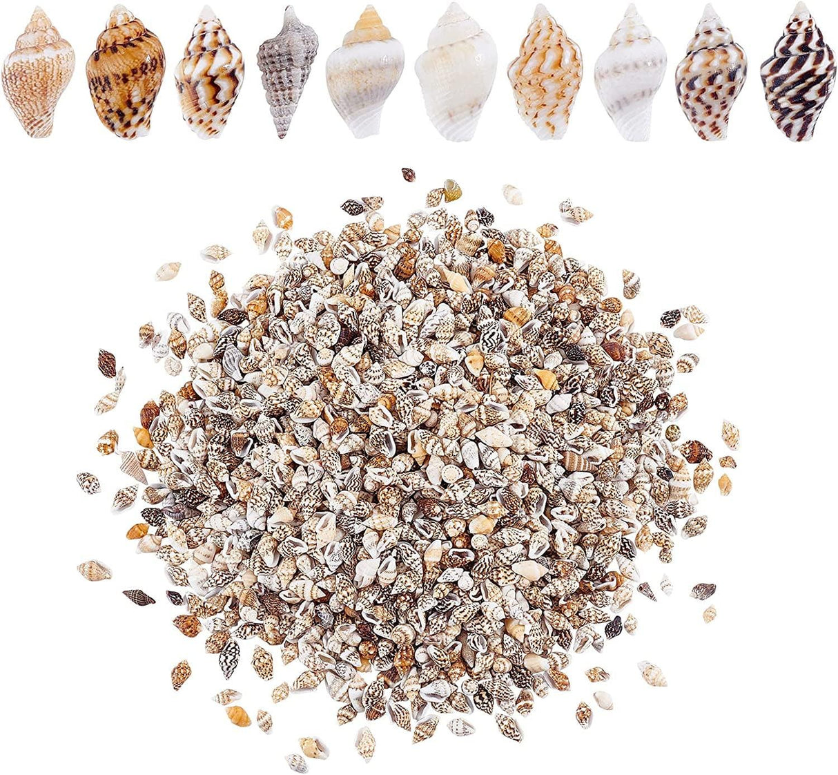 1400-1500Pcs Sea Shell Beads 7-12Mm Tiny Crushed Shells Miniature Shells NO Hole Seashells Ocean Spiral Seashells for Resin Candle Home Party Wedding WoodArtSupply