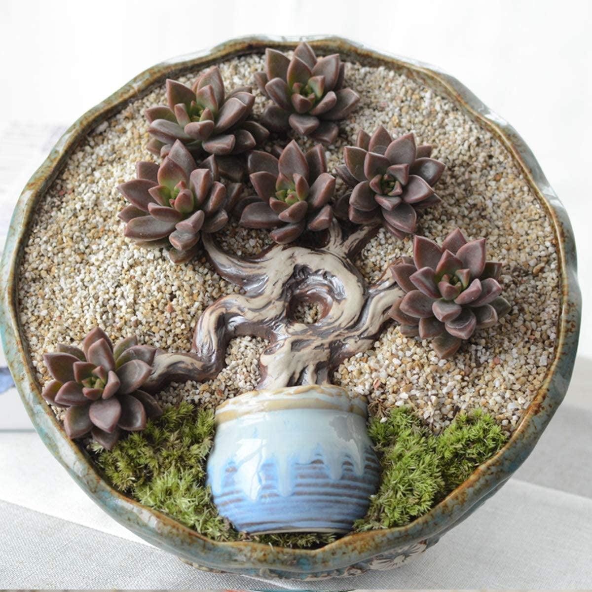 Coarse Silica Sand 2.2Lb for Bonsai Cacti Succulent and Carnivorous Plant Mix WoodArtSupply