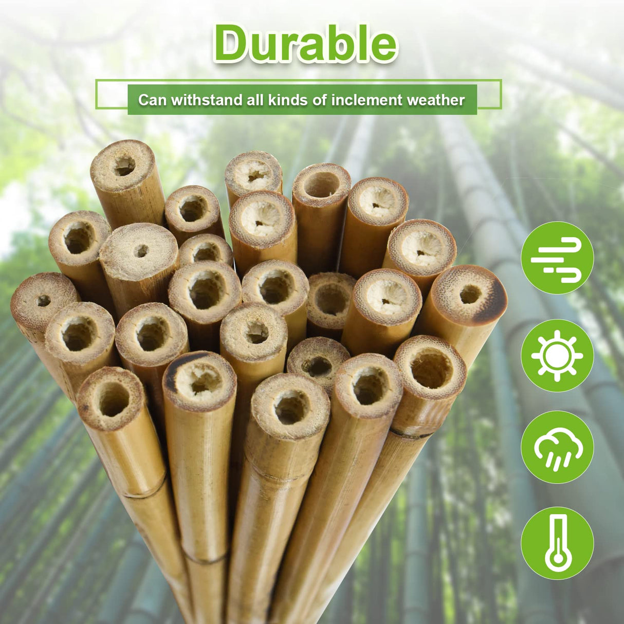 Jollybower 15pcs 3/4" D Thicker Heavy Duty Bamboo Stakes, 7FT Plant Stakes, Natural Garden Stakes for Tomato, Bean, Flowers,Trees Potted and Climbing Jollybower