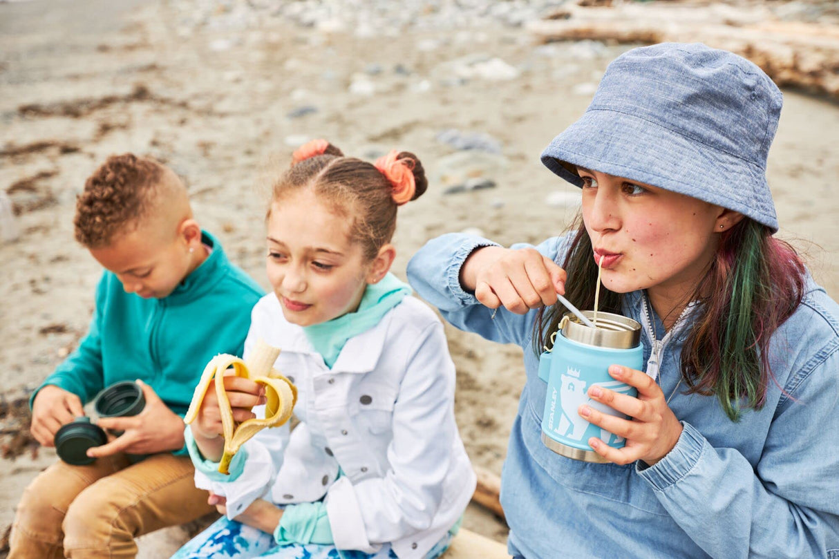 Stanley Heritage Insulated Food Jar for Kids (8 and Above) with Spork, 14oz Stainless Steel Kids’ Lunch Box, Dishwasher Safe and BPA-Free STANLEY