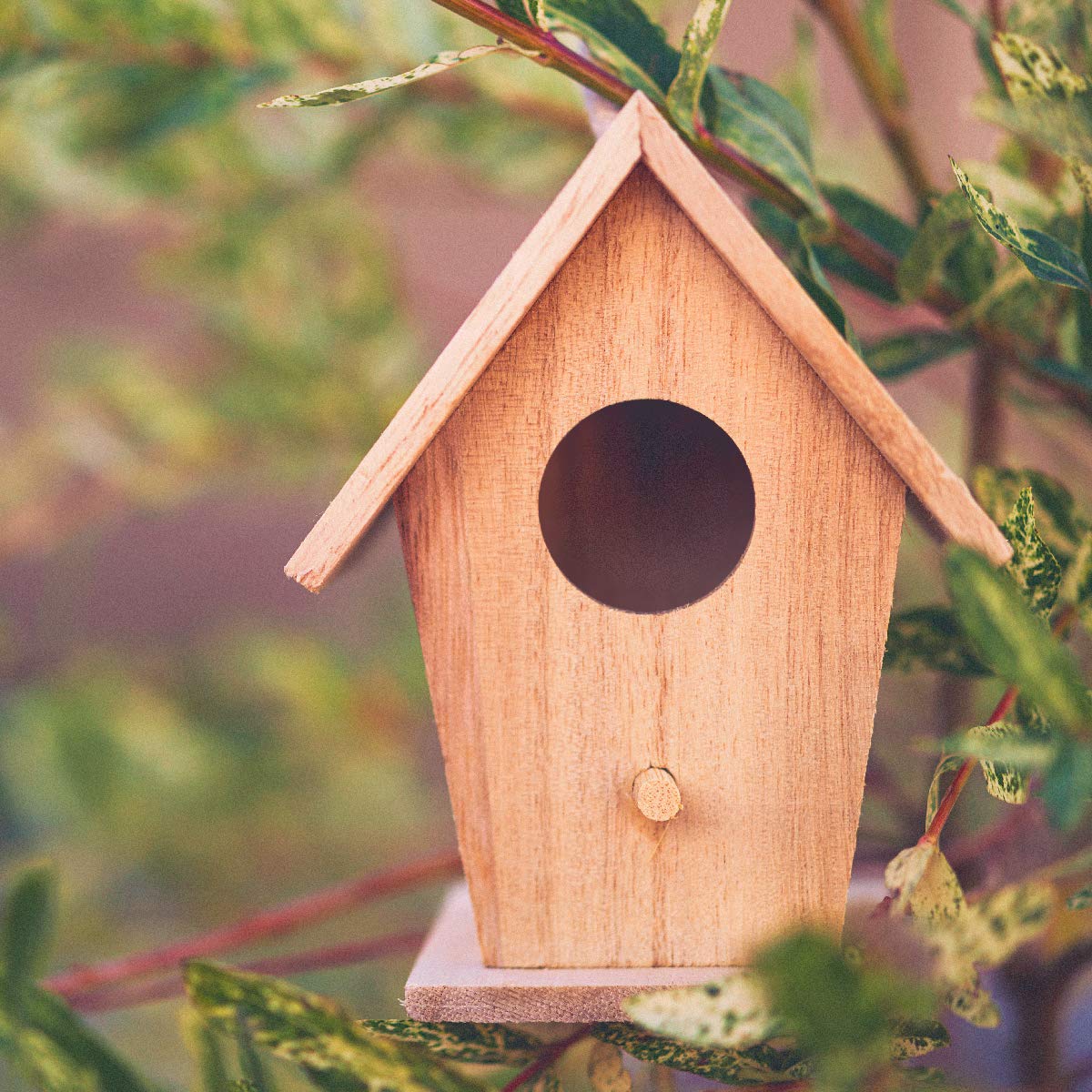 POWERTEC 71634 20-Piece Drill Press Sanding Drum Kit w/ ¼ and 1/8 inch Shanks, Spindle Sander Sleeves, Tool Carrying Case POWERTEC