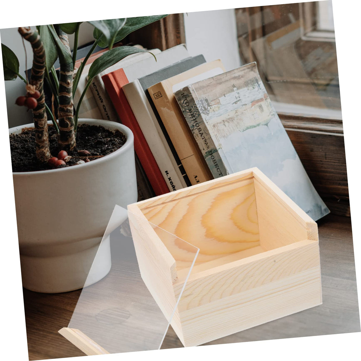 Anneome Box Storage Wooden Box Decorative Treasure Chest Gift Packing Piggy Bank for Adults Tray Decorations Adult Piggy Bank Clear Lid Wood Jewelry Anneome