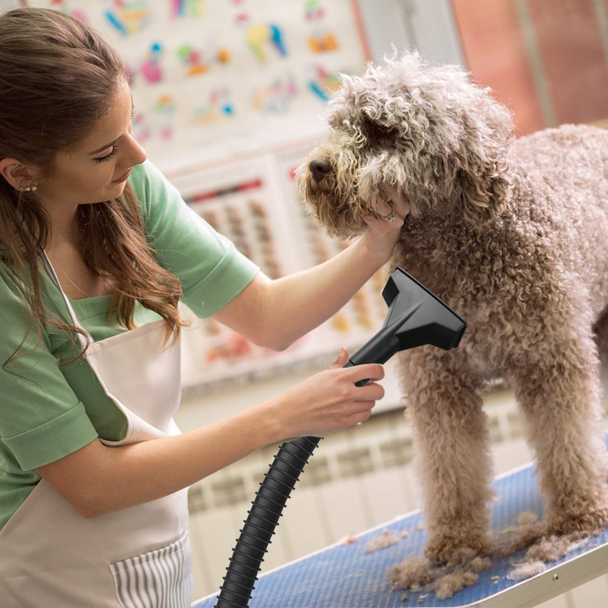 Stanley SL18129 Wet/Dry Vacuum, 4 Gallon, 4 Peak HP, Stainless Steel Tank with Top Handle, 3-in-1 Shop Vacuum Cleaner with Blower for Home, Garage, Stanley