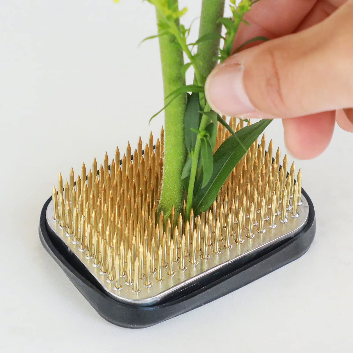 Wazakura Japanese Ikebana Kenzan Flower Holder Rectangular Square, Made in Japan Floral Arranging Pin Frog Tool - 2.6" (68mm) Wazakura