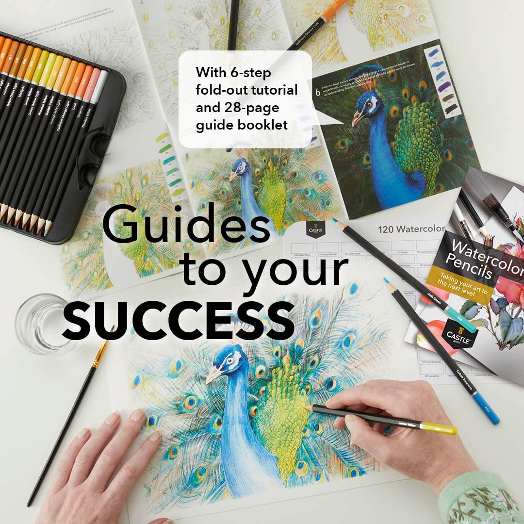 Castle Art Supplies 120 Watercolor Pencils Set | Quality Vibrant Pigments | Draw and Paint at Same Time | For Adult Artists and Professionals | Castle Art Supplies