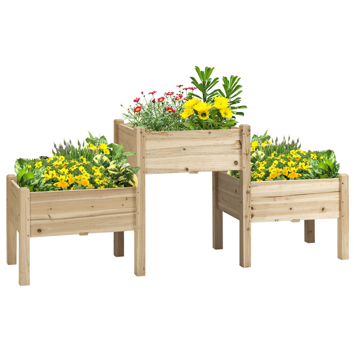 Outsunny Raised Garden Bed with 3 Planter Box, Elevated Wooden Plant Stand with Drainage Holes, for Vegetables, Herb and Flowers, Natural Outsunny