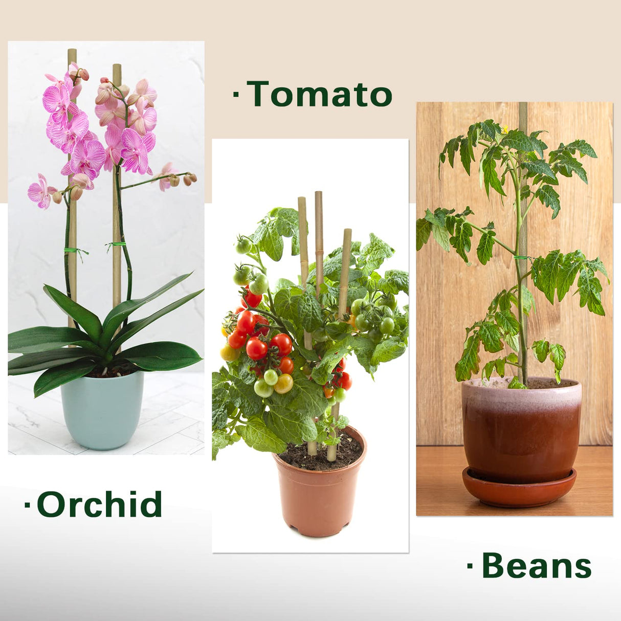 Plant Stakes,18 Inches Natural Garden Bamboo Sticks,BOVITRO 20Pcs Plant Support Stakes for Tomatoes,Beans,Vegetable and Potted Plants BOVITRO