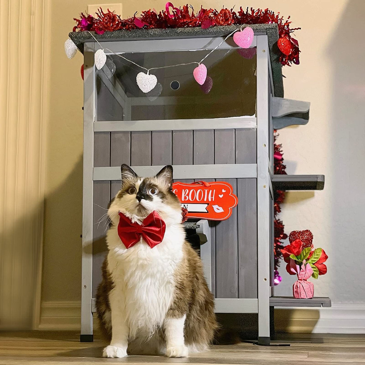 Aivituvin 2-Story Outdoor Cat House Indoor Wooden Kitty Condo with Escape Door - Removable Floors Aivituvin